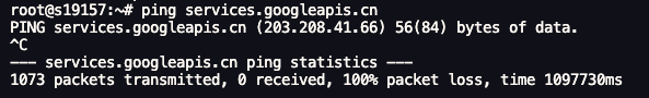 ping-services.googleapis.cn